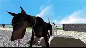 افلام سكس هنتاي
